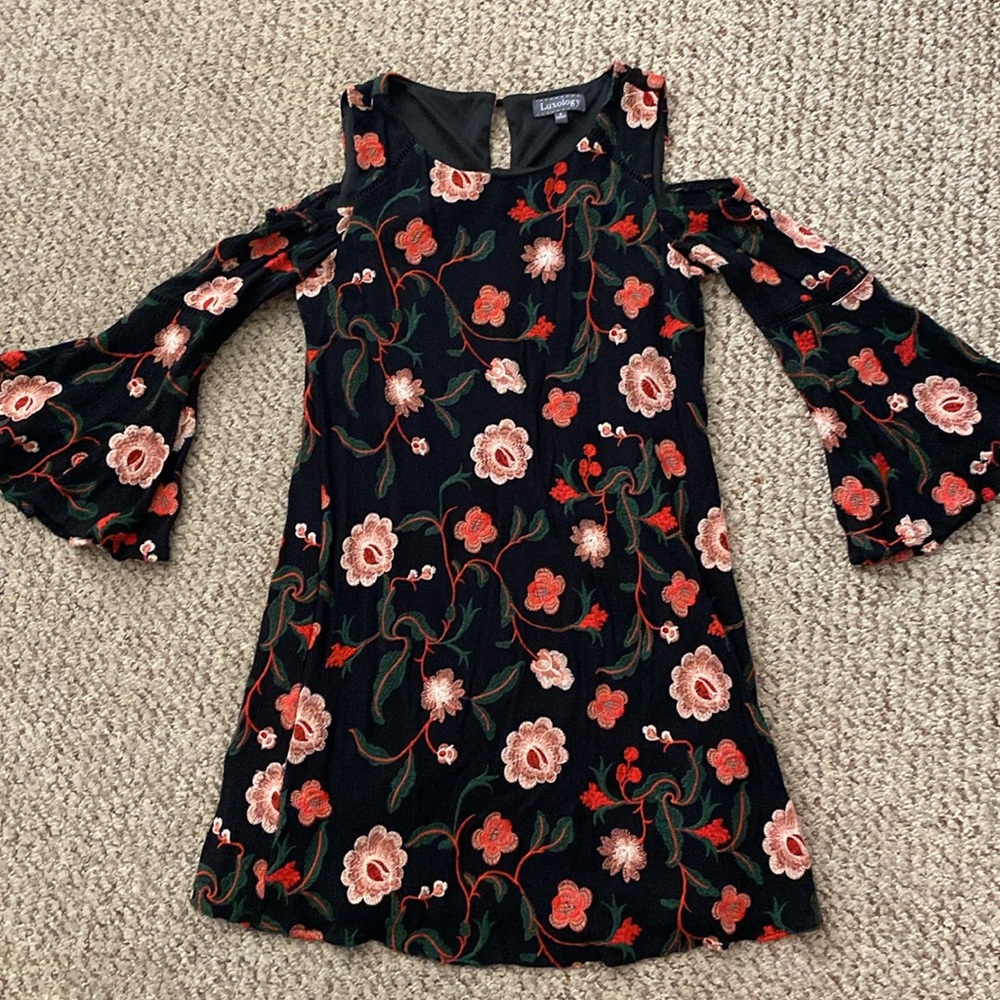 Beautiful Luxology embroidered dress, gently used (barely worn).